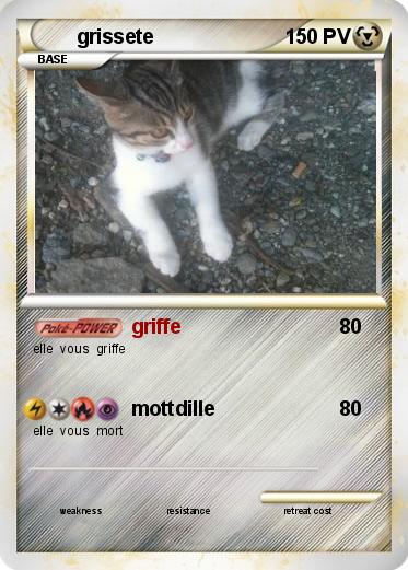 Pokemon grissete
