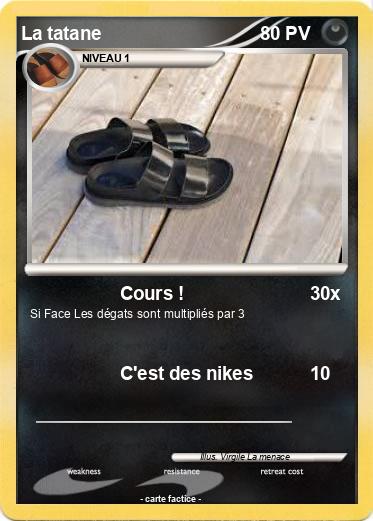 Pokemon La tatane