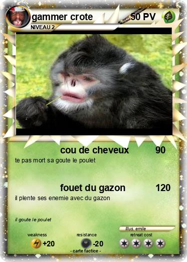 Pokemon gammer crote