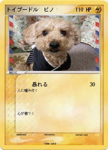Pokemon トイプードル　ピノ