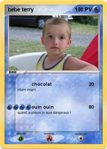 Pokemon bebe terry