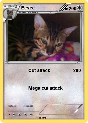 Pokemon Eevee