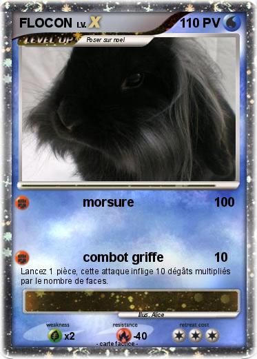 Pokemon FLOCON