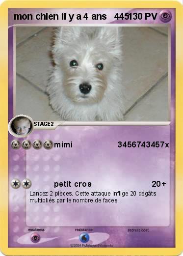 Pokemon mon chien il y a 4 ans   445