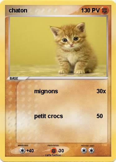 Pokemon chaton