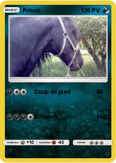 Pokemon Frison