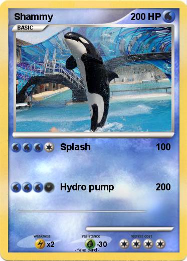 Pokemon Shammy