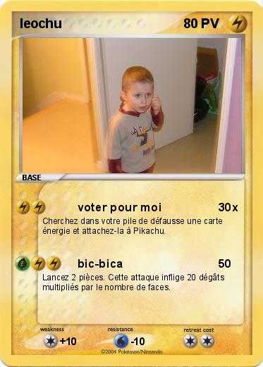 Pokemon leochu