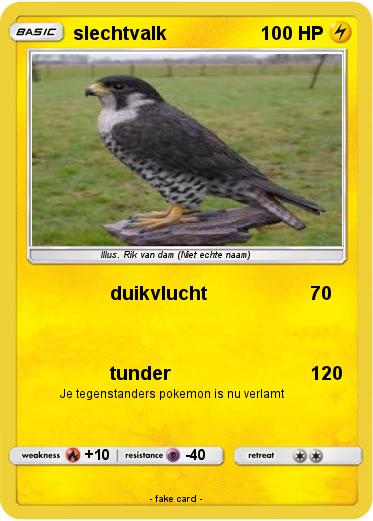 Pokemon slechtvalk