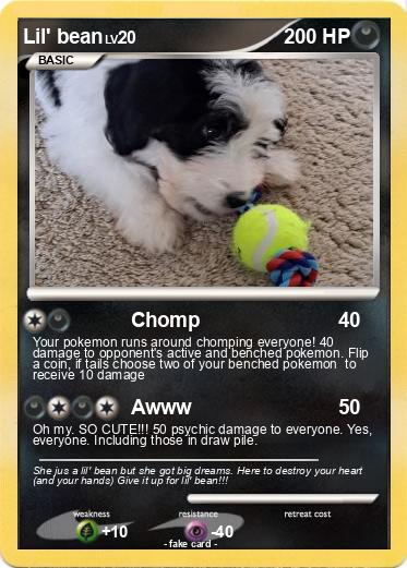 Pokemon Lil' bean
