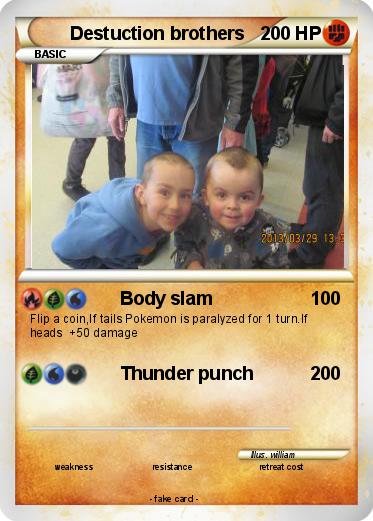 Pokemon Destuction brothers