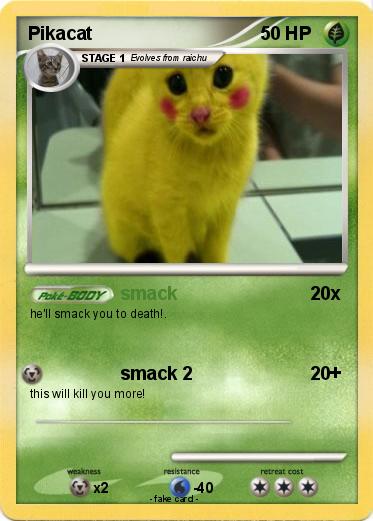 Pokemon Pikacat