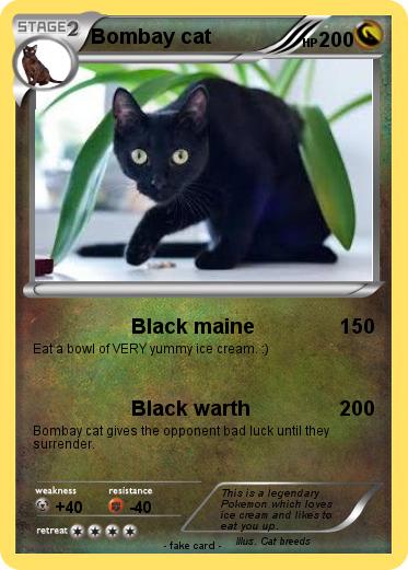 Pokemon Bombay cat