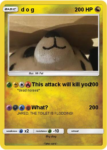 Pokemon d o g