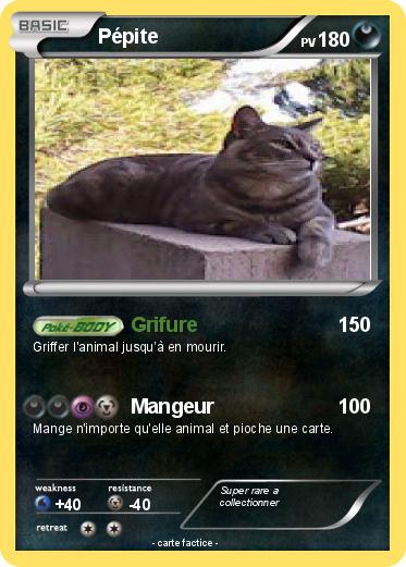 Pokemon Pépite