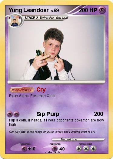 Pokemon Yung Leandoer