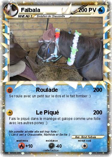 Pokemon Falbala
