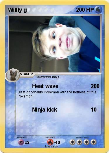Pokemon Willly g