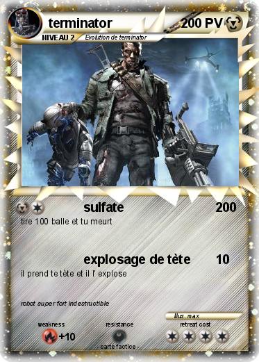 Pokemon terminator
