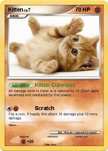 Pokemon Kitten