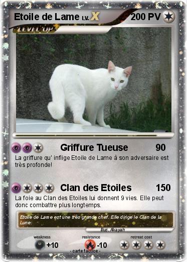 Pokemon Etoile de Lame