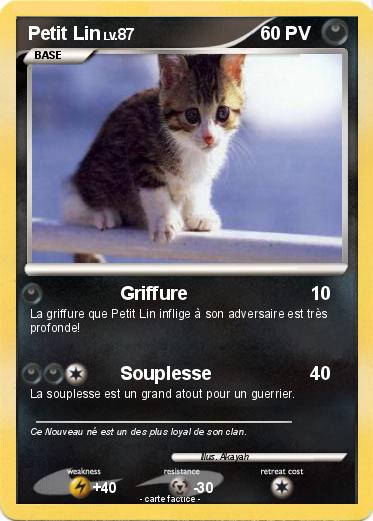 Pokemon Petit Lin