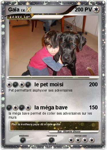 Pokemon Gaîa