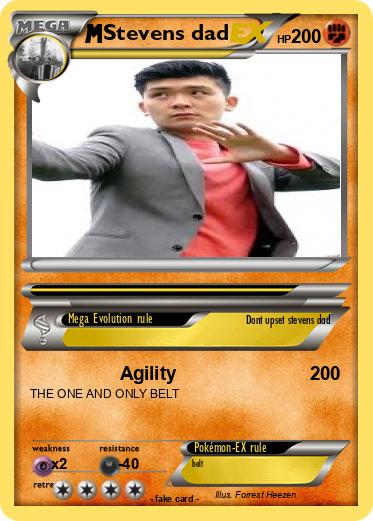 Pokemon Stevens dad