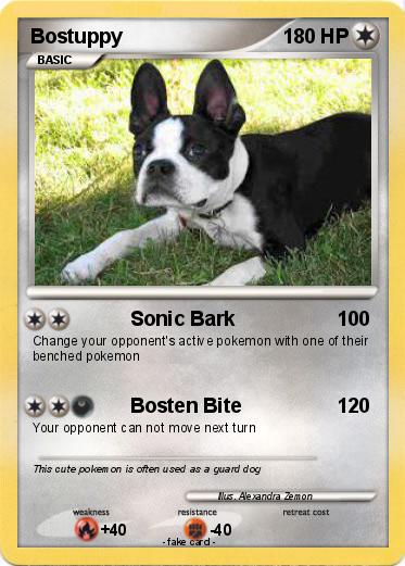 Pokemon Bostuppy