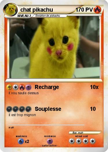 Pokemon chat pikachu