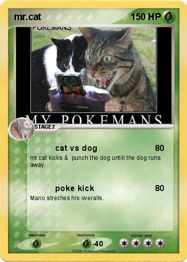 Pokemon mr.cat