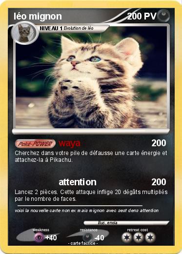 Pokemon léo mignon