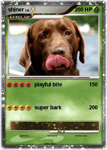Pokemon shiner
