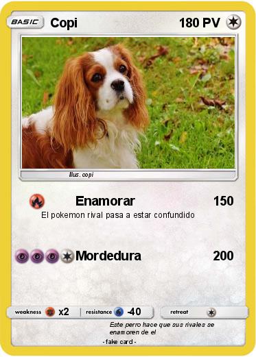 Pokemon Copi