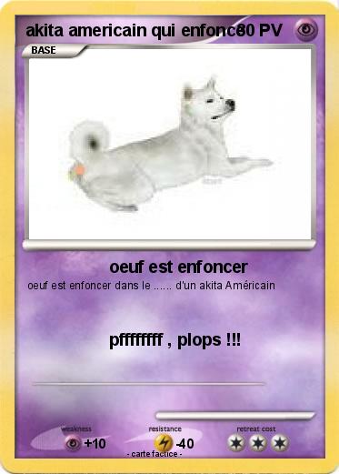 Pokemon akita americain qui enfonce