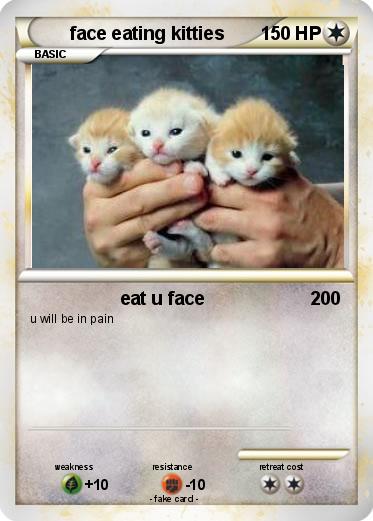 Pokemon face eating kitties