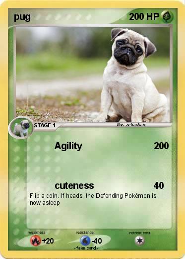 Pokemon pug