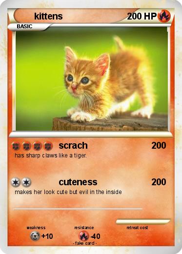Pokemon kittens