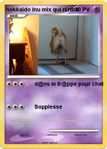Pokemon hokkaido inu mix qui r£ntre
