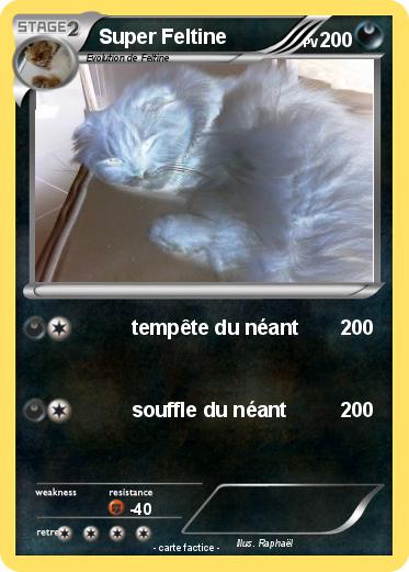 Pokemon Super Feltine