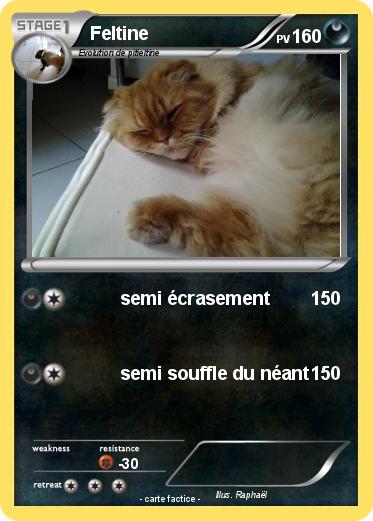 Pokemon Feltine