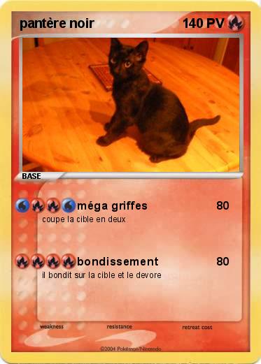 Pokemon pantère noir