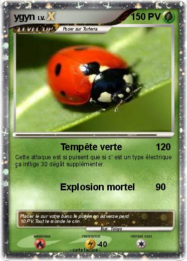 Pokemon ygyn