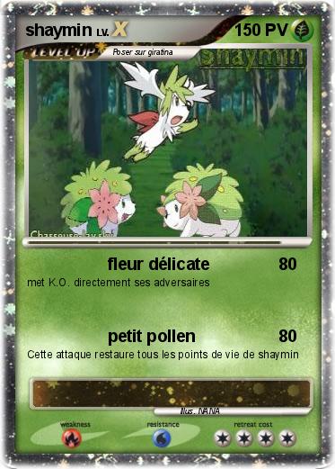 Pokemon shaymin
