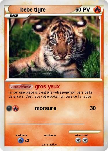 Pokemon bebe tigre