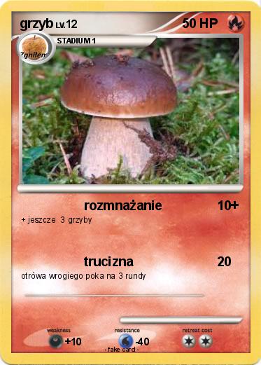 Pokemon grzyb
