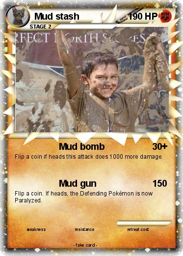 Pokemon Mud stash