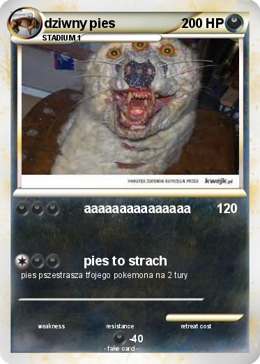 Pokemon dziwny pies