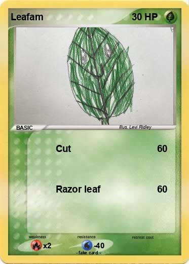 Pokemon Leafam