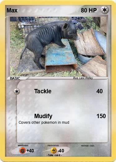 Pokemon Max